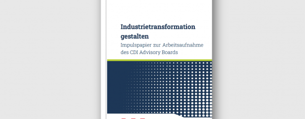 CDI Impulspapier Industrie zwischen Klimaziel und Wettbewerbsdruck