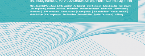 Studie Klimaneutralitt braucht gesellschaftliche technische und konomische Anstze