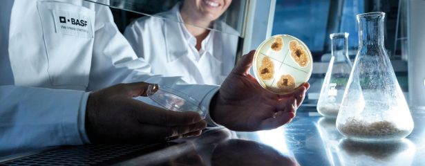 Mikroorganismen sorgen bei BASF fr mehr Nachhaltigkeit