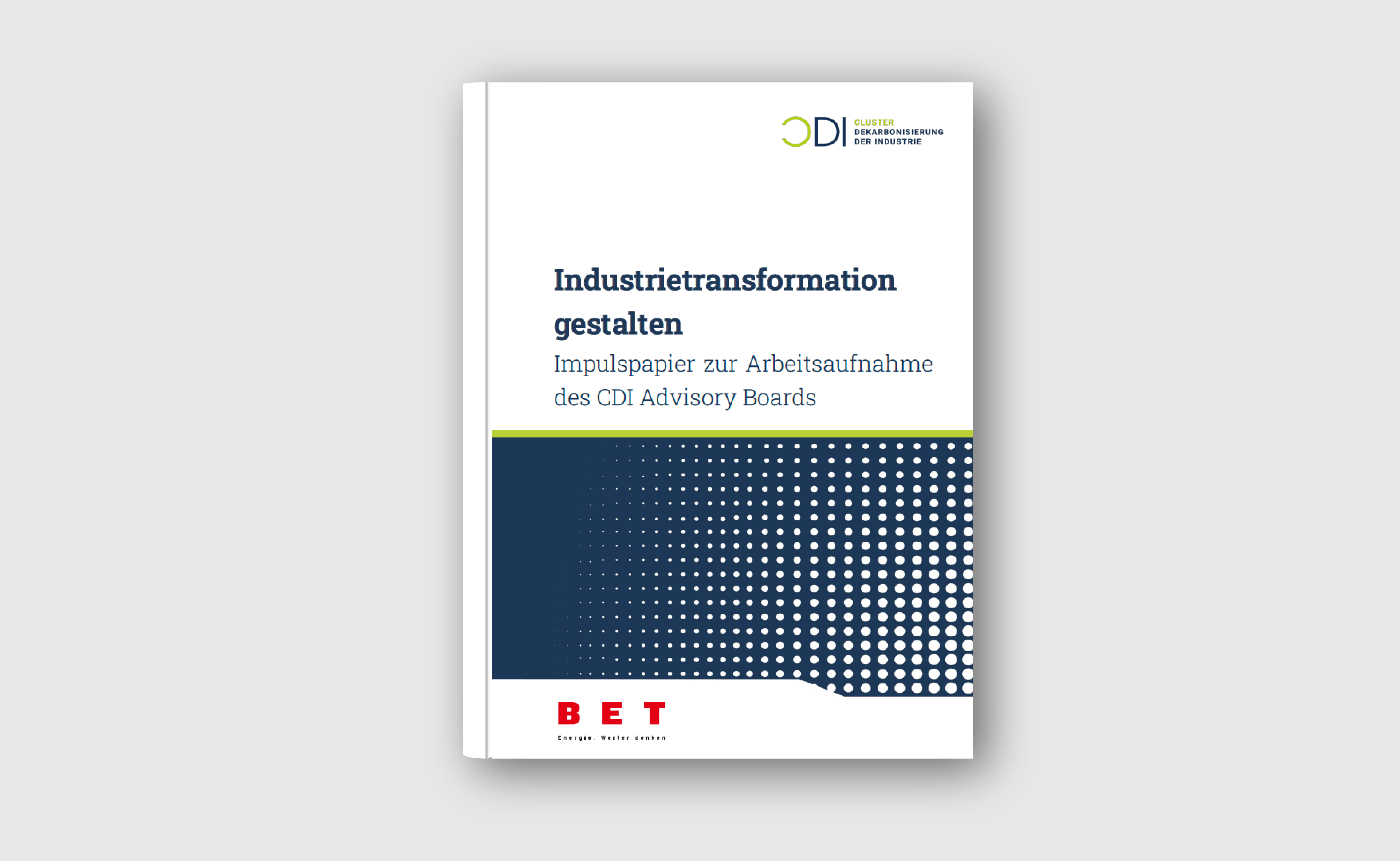 Titelblatt Publikation